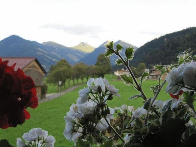 Haus Friedl Hotel Kitzbuhel Luaran gambar